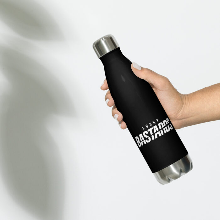 Stainless Steel Water Bottle 17oz